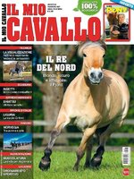 Il mio Cavallo